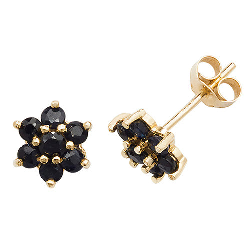 9ct Yellow Gold Sapphire Stud Earrings - E Bixby Jewellers