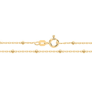 Yellow Gold on Silver Rolo + Bead Anklet